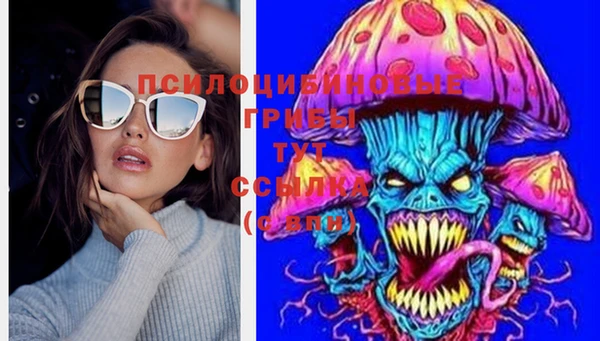 a pvp Няндома