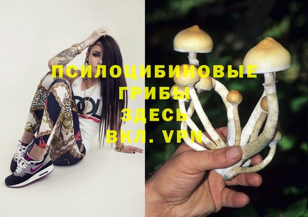 a pvp Няндома