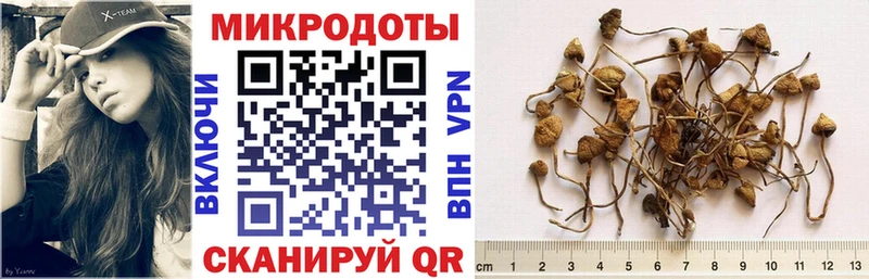 цена blacksprut ONION Галлюциногенные грибы Psilocybe Цивильск